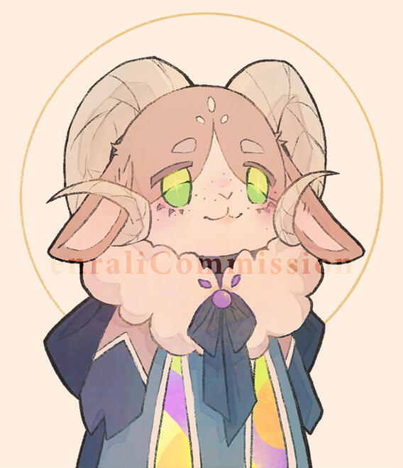 Commissioned OC